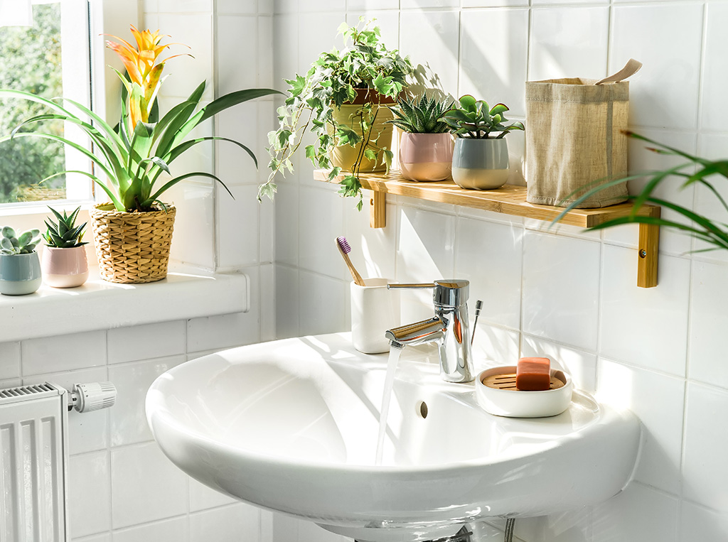 Sanitäranlagen Nachhaltigkeit Sanitäranlagen Nachhaltigkeit